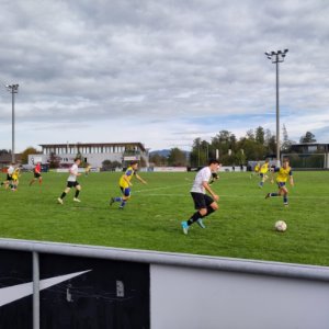 Junioren Ba - Wädenswil Ba