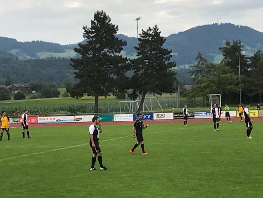 Stäfa verliert zweites Testspiel gegen das eine Liga höher spielende Wetzikon mit 2:1.