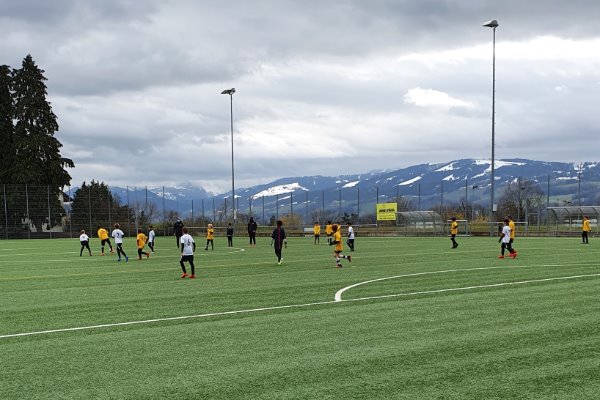 FC Stäfa Eb unterliegt in einem torreichen Spiel Meilen Ea mit 12:13.