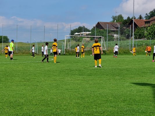 Junioren Dd siegreich im letzten Meisterschaftsspiel gegen Männedorf.