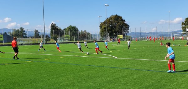FC Stäfa Junioren Ea weiter siegreich mit 7:3 gegen Volketswil Ea