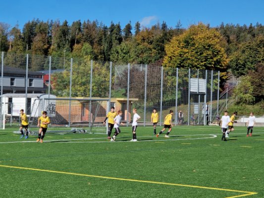 FC Stäfa Dc mit weiterem 9:0 Kantersieg gegen Wetzikon Db