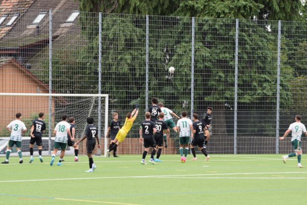 FCS2: Starker Punktgewinn zum Saisonauftakt