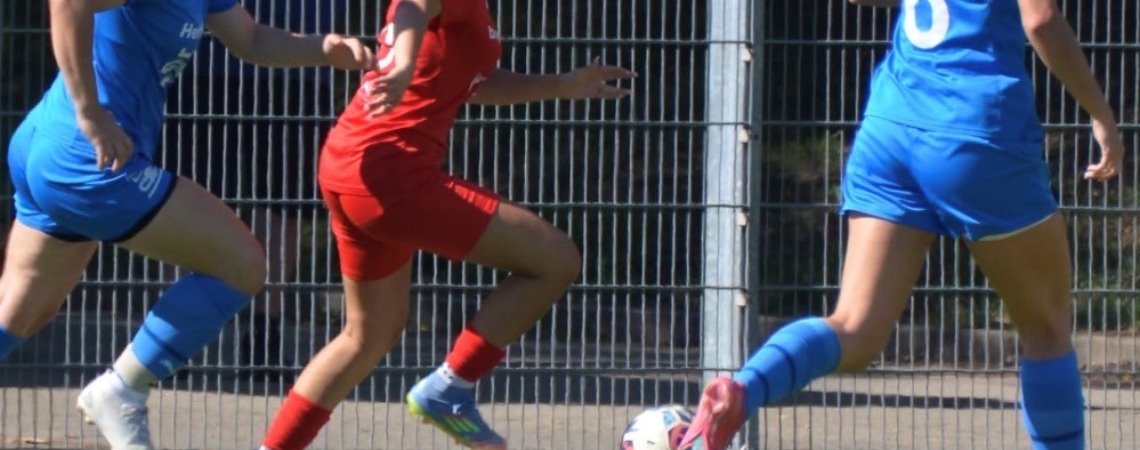 ZSU1: Kämpferischer Auftritt - Deutliche Niederlage